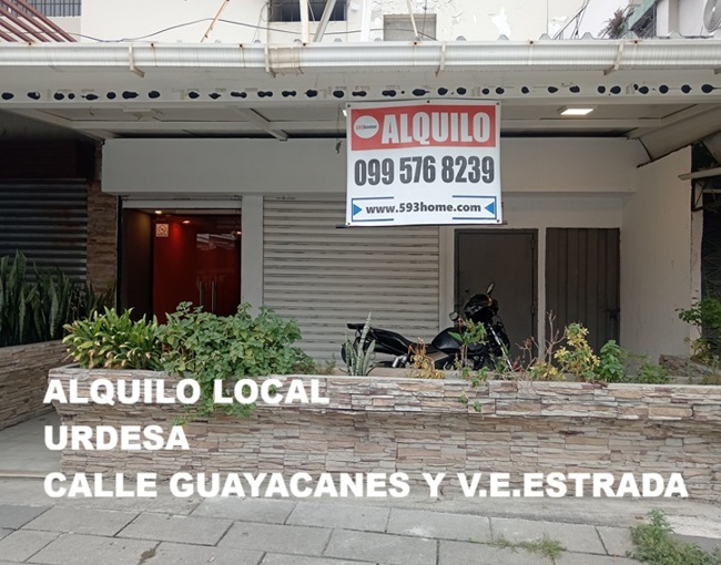 No hay Imagen style=